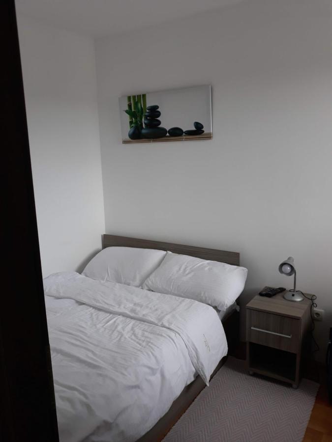 Apartman Kraljevi Cardaci 5B-32 科帕奥尼克 外观 照片